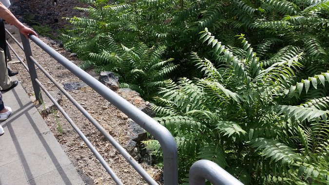 (89) Complesso Monastico - Giardino dei Novizi
